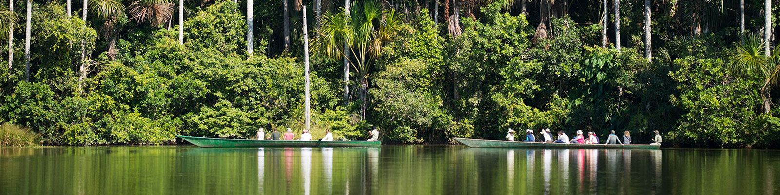 Culture & Aventure in Tambopata with Ecolucerna Lodge 3 Days / 2 Nights